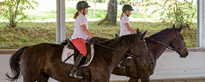 teaser04 reiten