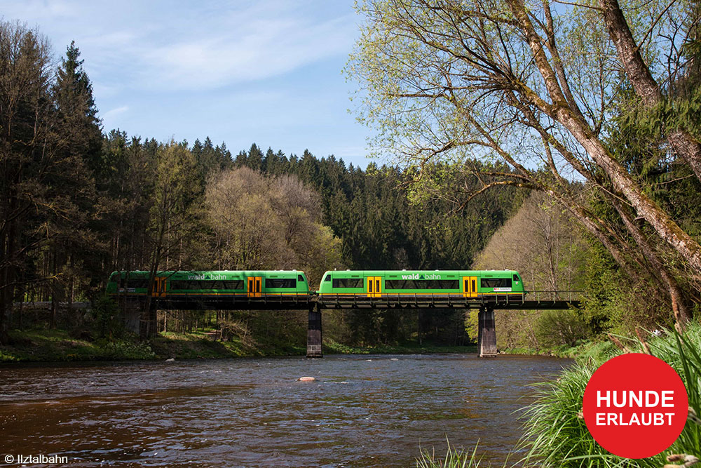 ilztalbahn011 DSC 0994 1