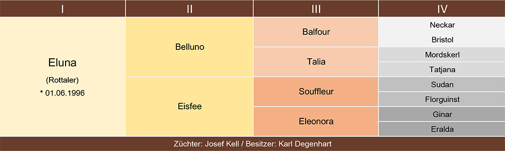 Eluna Ahnentafel web