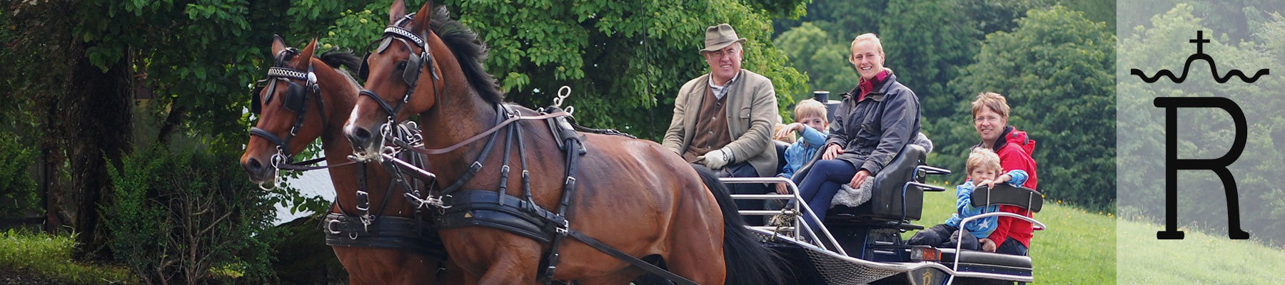 Rottaler Warmblutpferde